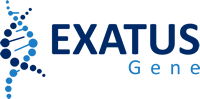 Exatus Gene