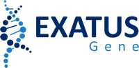 Exatus Gene